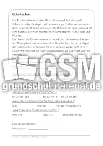 Eichhörnchen.pdf